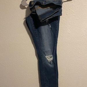 Torrid Jeans